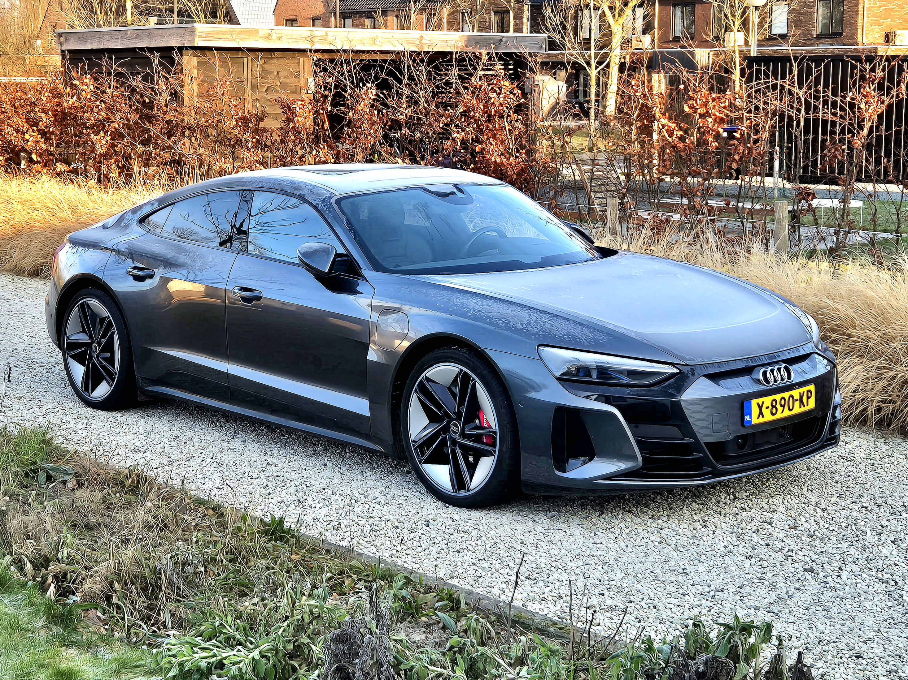 Audi E-tron GT Parelgrijs