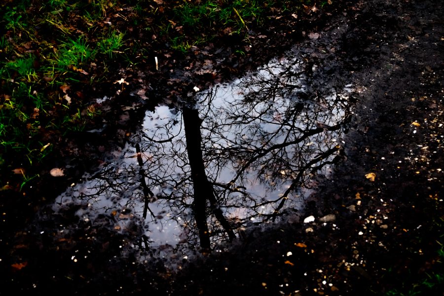 Spiegeling